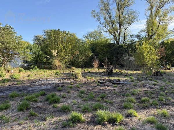 Lote | Francisco Alvarez | Gonzalez Moreno
