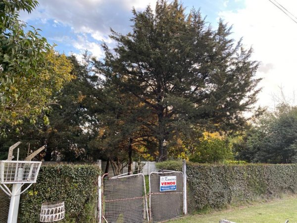 Lote | General Rodriguez