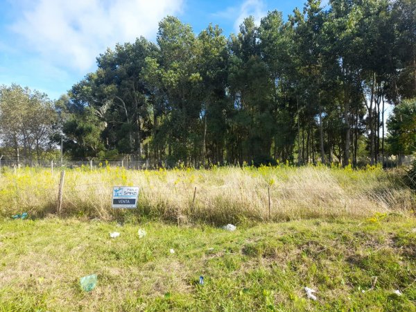 Lote | San Bernardo