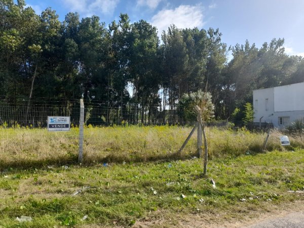 Lote | San Bernardo
