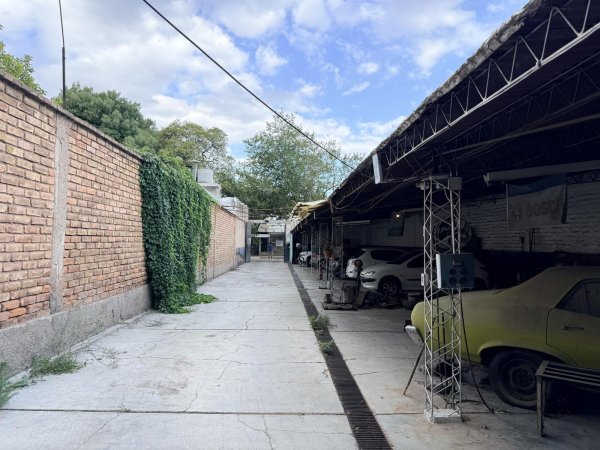 Lote | Tercera Seccion | Mendoza