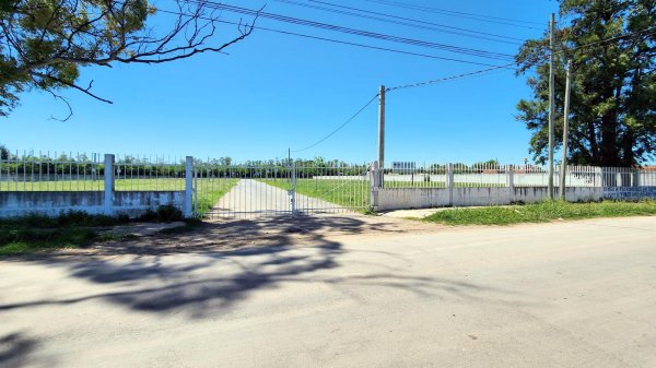 Lote | Burzaco