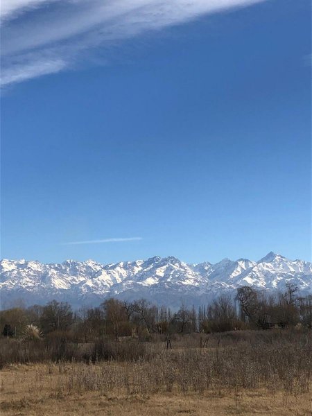 Lote | Totoral | Tunuyan