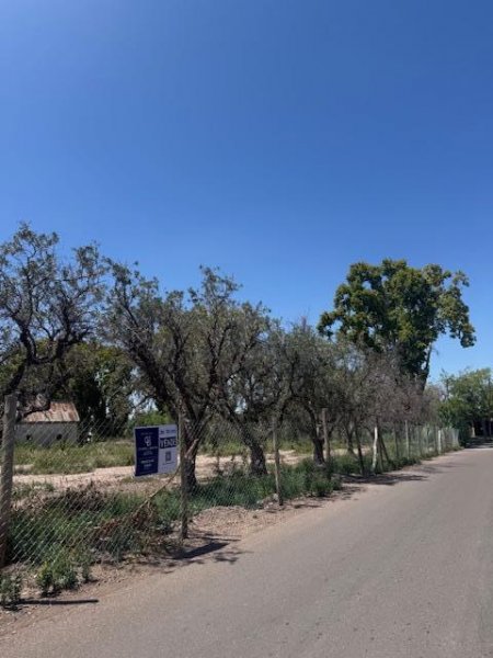 Lote | Capilla Del Rosario