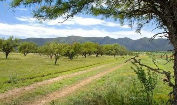 Lote | Solar Los Molinos | Los Molinos