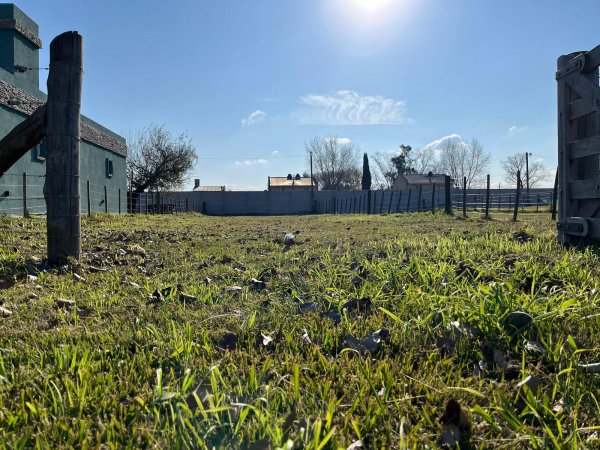 Lote | Domselaar