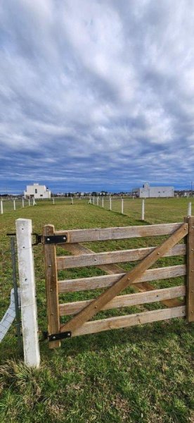 Lote | Domselaar