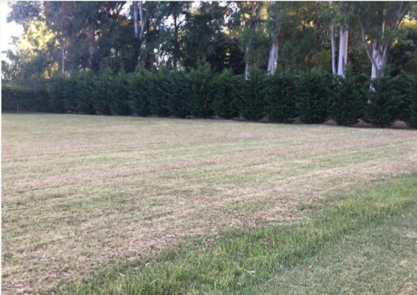 Lote | Campos de Roca | Coronel Brandsen