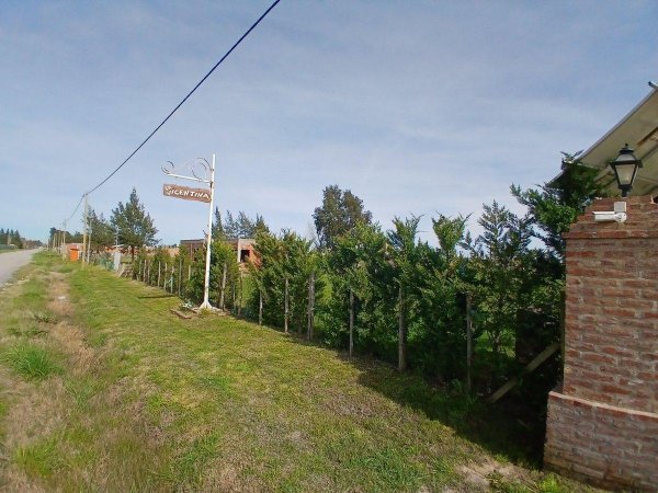 Lote | Domselaar