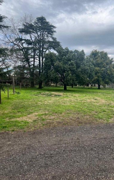 Lote | Longchamps
