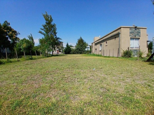 Lote | Domselaar