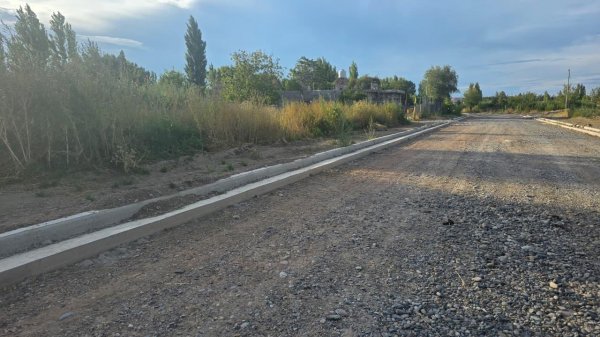 Lote | Plottier