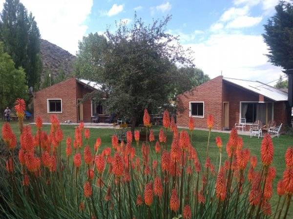 Negocio en alquiler | Potrerillos | Lujan De Cuyo