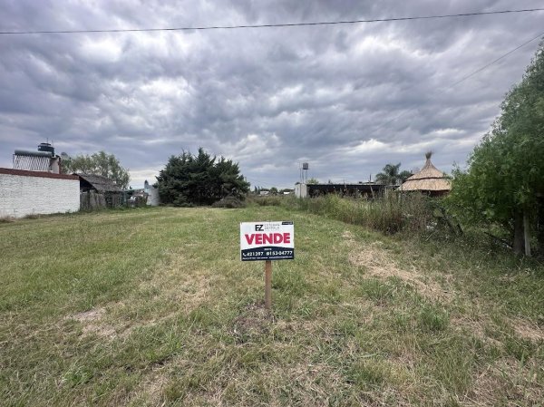 Lote | Andino