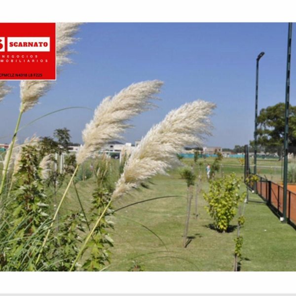 Lote | Barrio Santa Juana