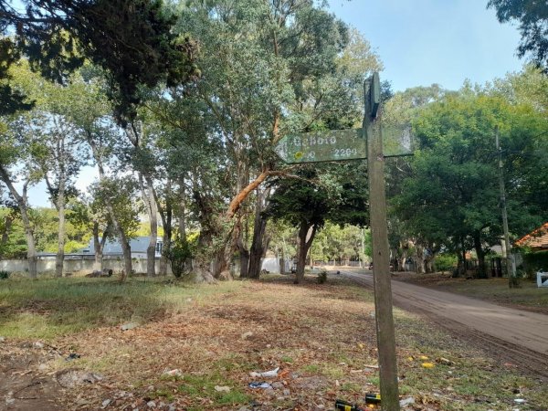 Lote | San Bernardo