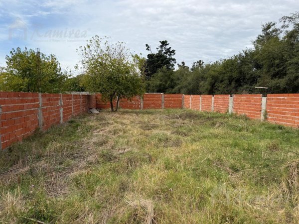 Lote | Moreno | Gonzalez Moreno