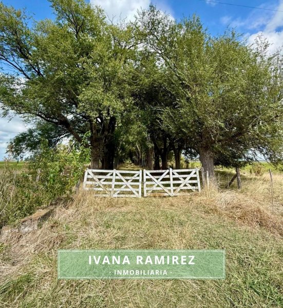 Lote | Carlos Keen | Lujan