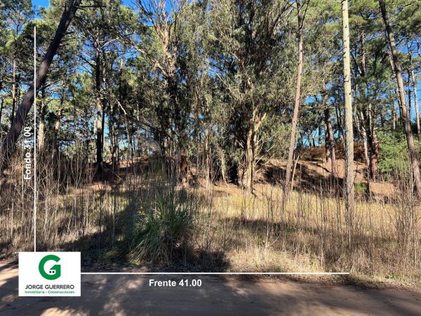 Lote | Caril&oacute;