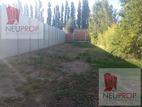 Lote | Neuquen