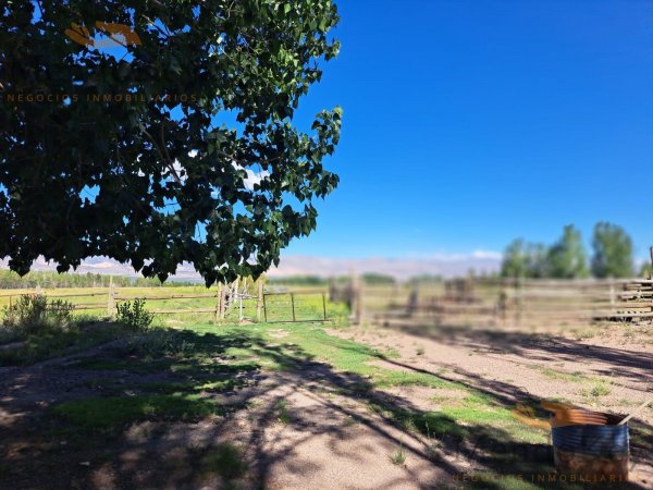Casa en venta | Uspallata