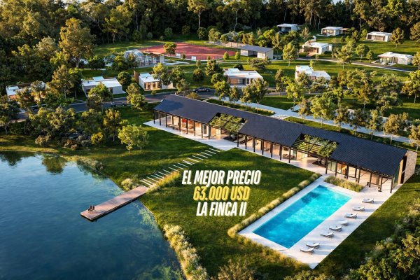 Lote | Funes