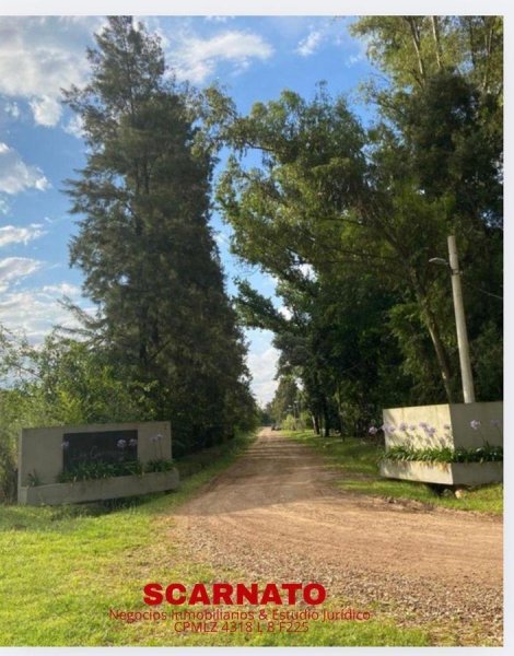 Lote | Alejandro Petion | Ca&ntilde;uelas