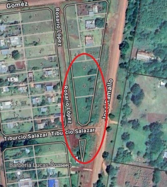 Lote | Garupa