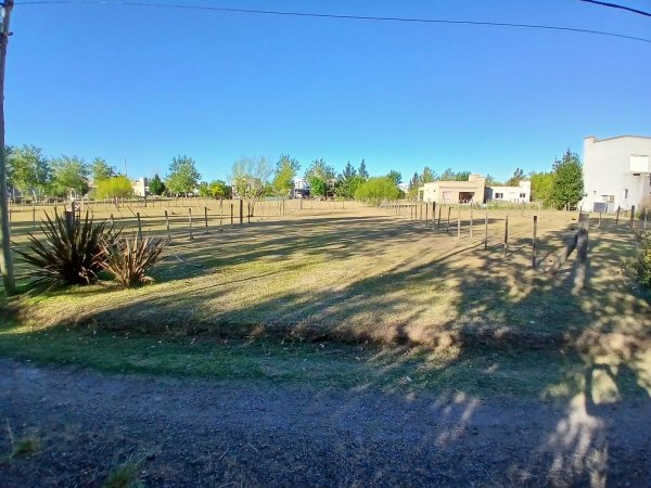 Lote | Domselaar