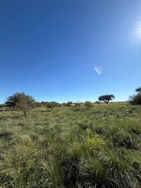 Campo en venta