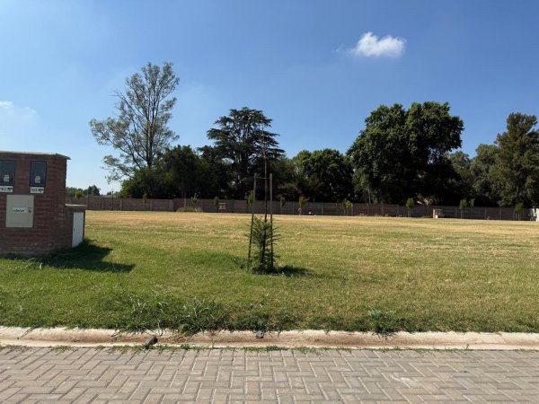 Lote | Pilar