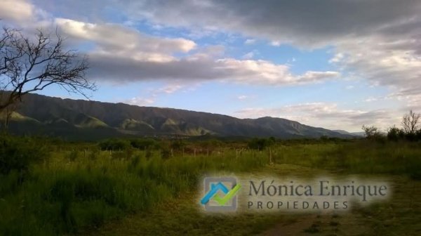 Lote | Cerro de Oro | Merlo