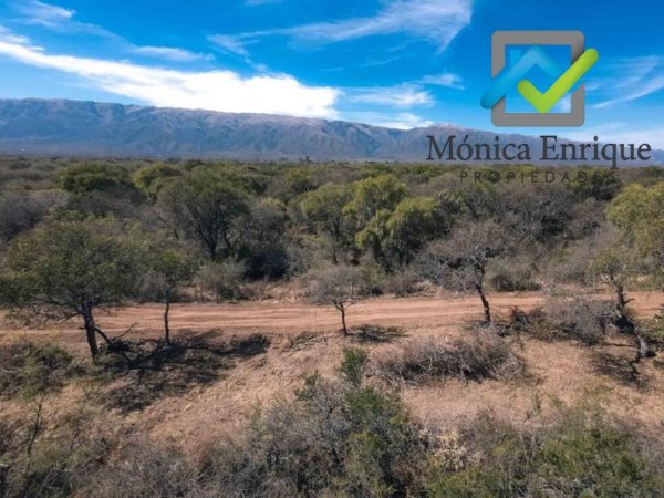 Lote | Los Molles