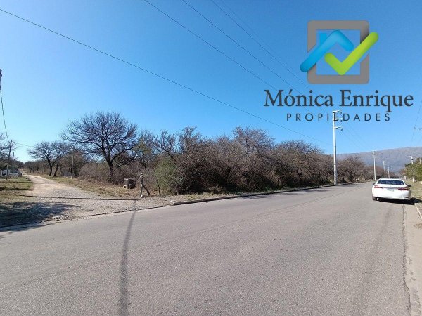 Lote | Carpinteria
