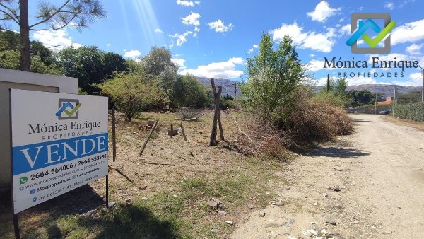 Lote | Merlo
