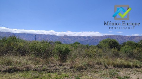 Lote | Cerro de Oro | Merlo
