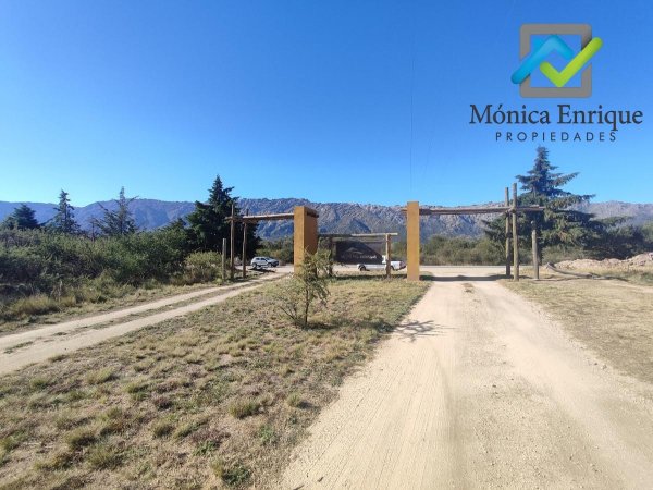 Lote | Cortaderas