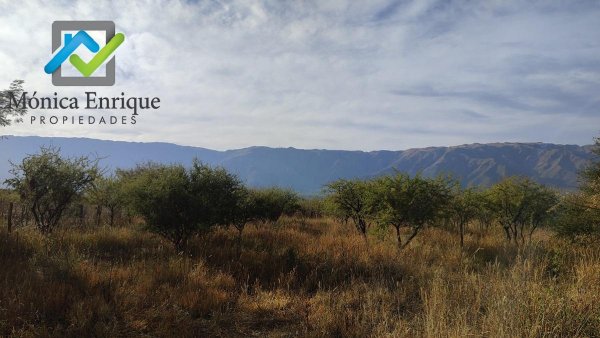 Lote | Cerro de Oro | Merlo