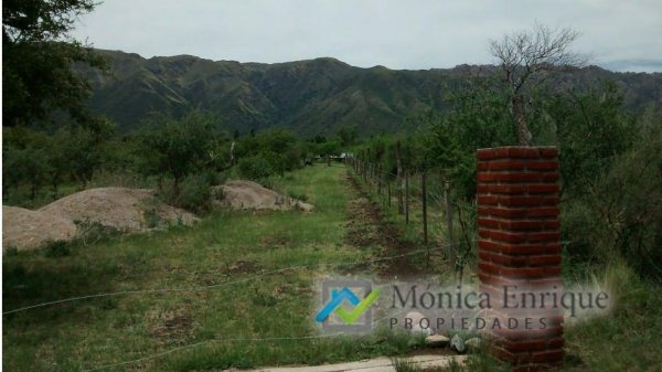 Lote | Cortaderas