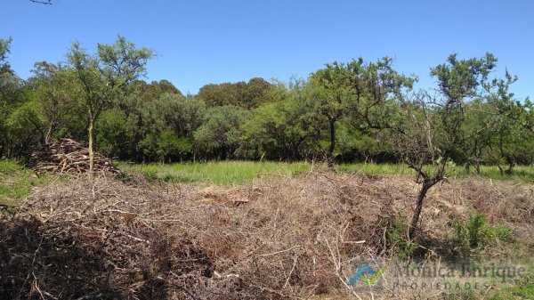 Lote | Villa Elena