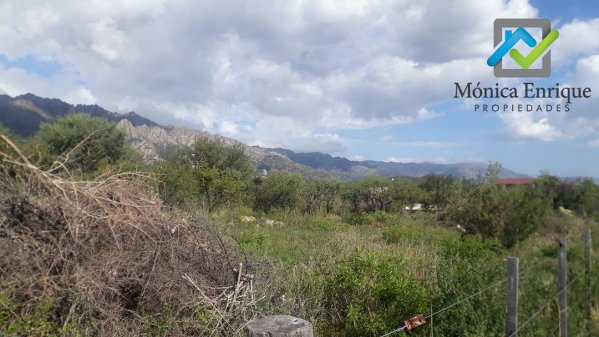Lote | Cortaderas