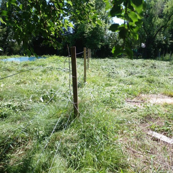 Lote | Francisco Alvarez | Gonzalez Moreno