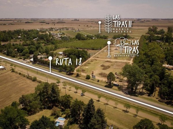 Lote | Alvear