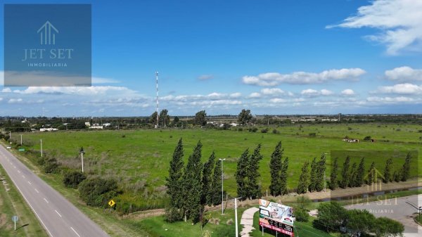 Lote | Monte Cristo