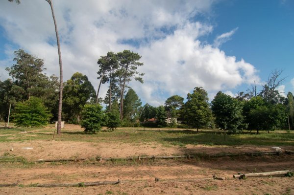 Lote | Pinares | Punta del Este