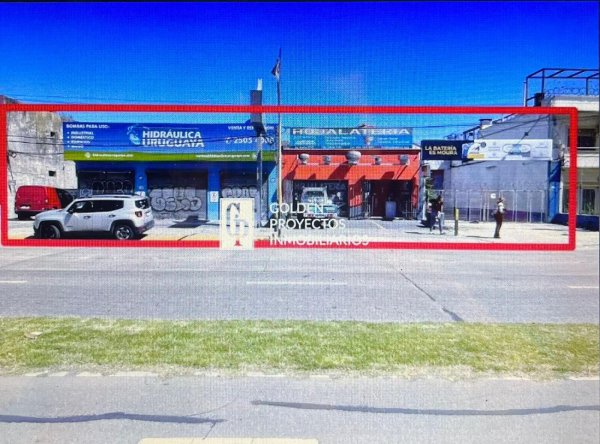 Lote | Buceo | Montevideo