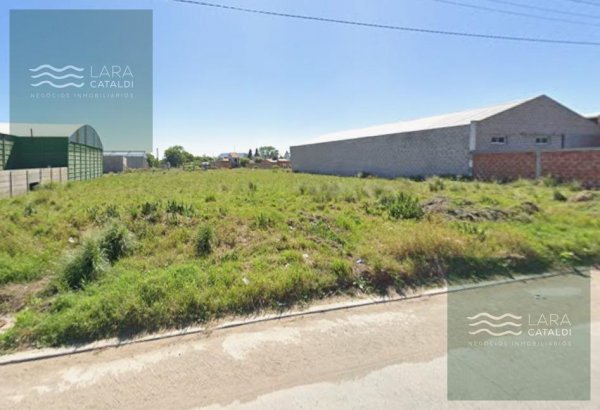 Lote | Balcarce