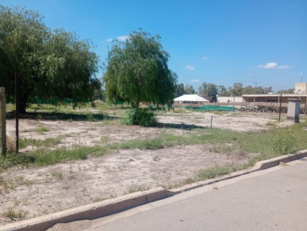 Lote