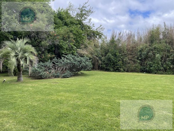Lote | San Carlos C.C | Vi&ntilde;a