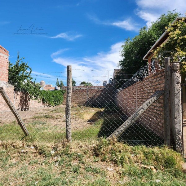 Lote | Cipolletti